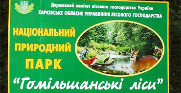 gomolshanskie lesa 3