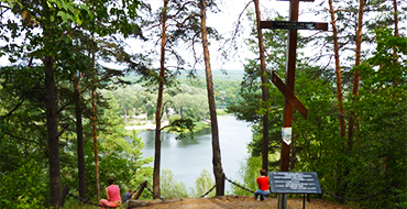 gomolshanskie lesa 4