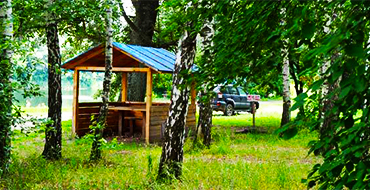 gomolshanskie lesa 5