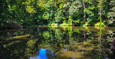 krasnokutskiy dendropark 003