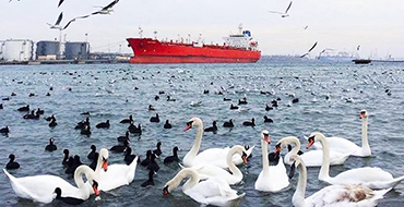 48215759 833859796784350 6142014760419328000 n