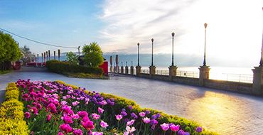 58968105 921188711384791 536689299307888640 n