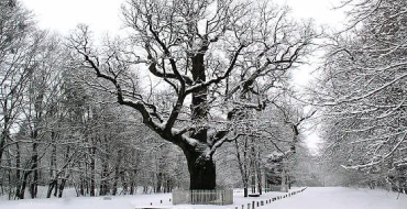 370 190 2 photo 2023 12 01 17 09 23