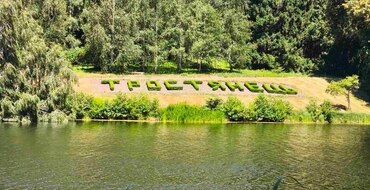 Тростянець 1