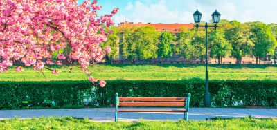 Сакура в Ужгороді, чани в Лумшорах та замки Закарпаття!