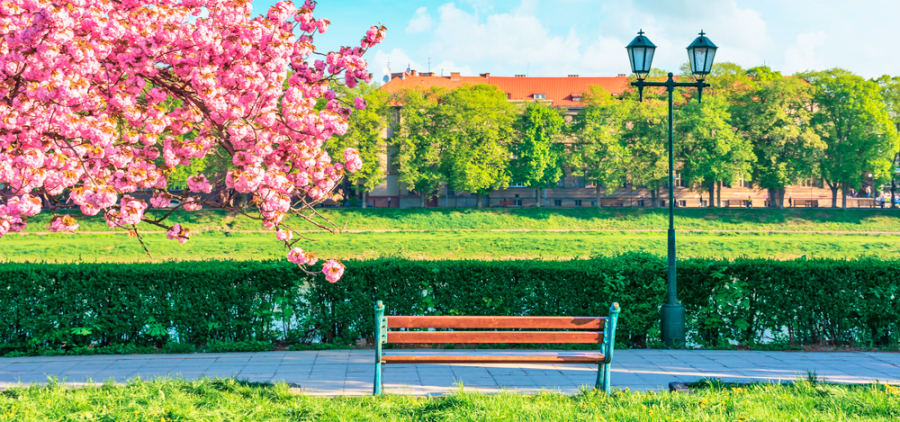 Сакура в Ужгороді, чани в Лумшорах та замки Закарпаття!