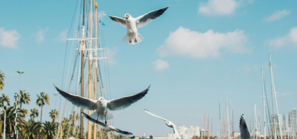 Золоті піски Іспанії! (6 ночей на морі)