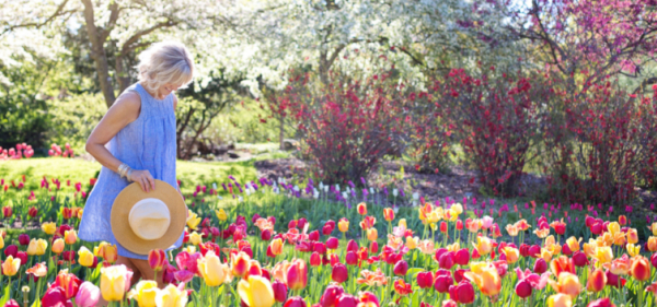 Вітаю, милий Амстердам!