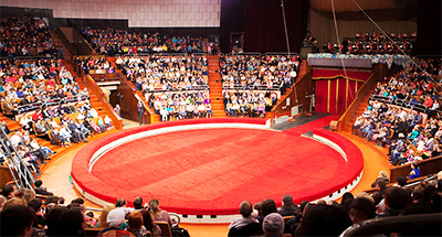 For the first time in the arena! Three Kharkov circuses