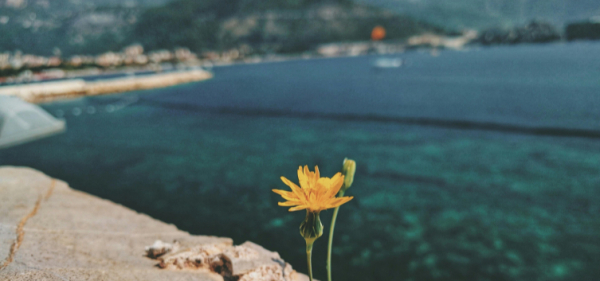 Романтика Адріатики: Хорватія та Чорногорія!