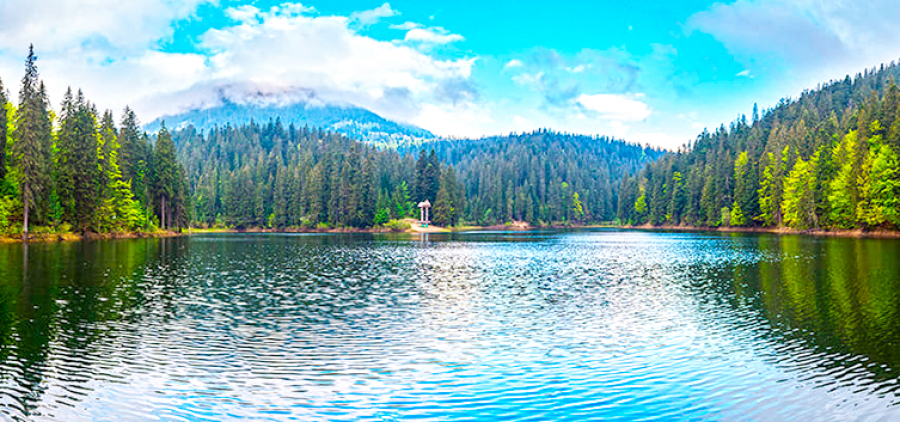 Зимовий Майфайний тур. Закарпаття # Карпати # Замки # Спа